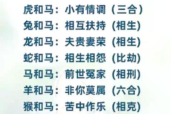 蛇马婚姻是否合适？揭秘属蛇与属马的相配度分析