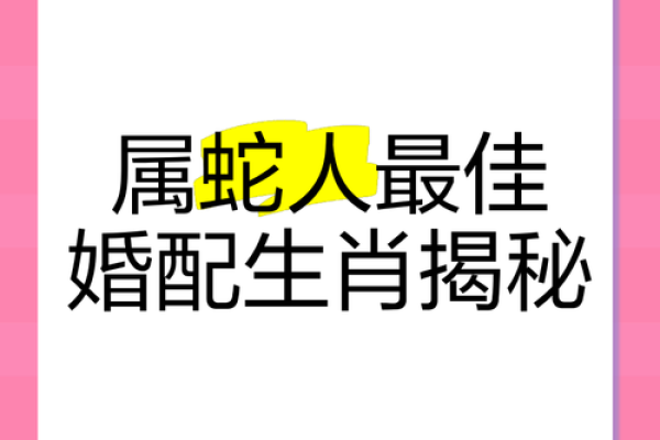 蛇马婚姻是否合适？揭秘属蛇与属马的相配度分析