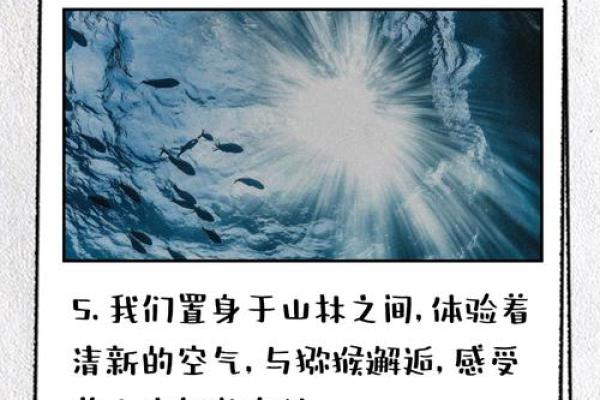 猴跟猴的配对原理与奇妙关系解析