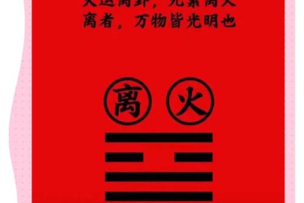 从辣椒命看命运中的挑战与机遇