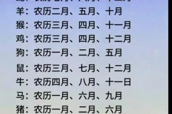 属马每月运程分析：从一月到十二月的运势变化