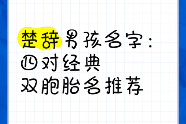 创意十足的双胞胎名字推荐大全