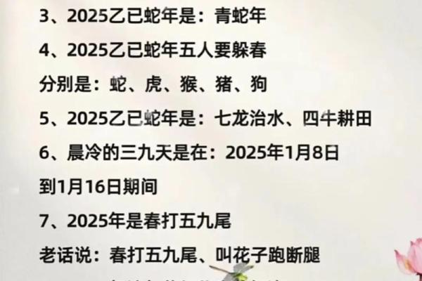 本命年蛇女如何应对事业低谷
