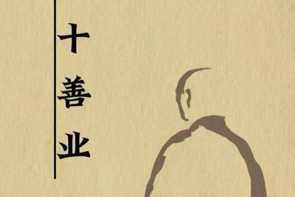从命运的起伏看大起大落的真正含义