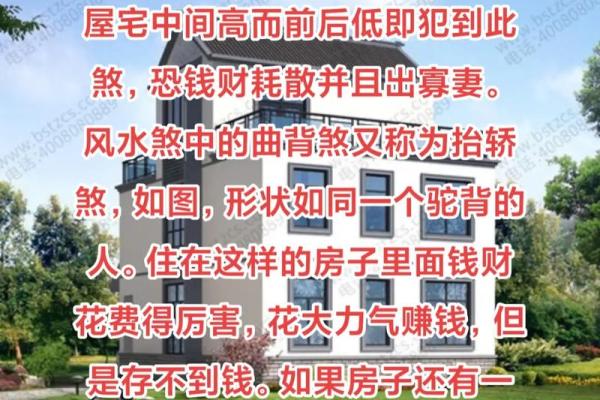 大风水师的风水布局案例与实战技巧