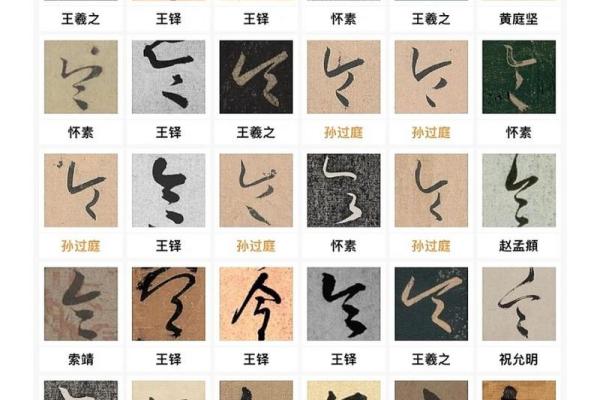 草字头名字的寓意与文化内涵解析