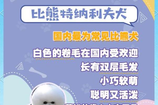 为公比熊选择名字时需要考虑的五个因素