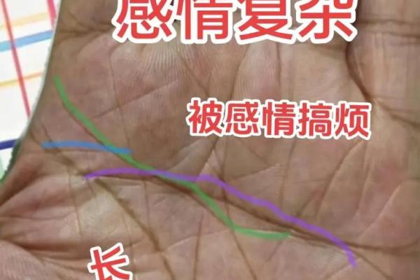 探究男命双桃花对感情的深远影响