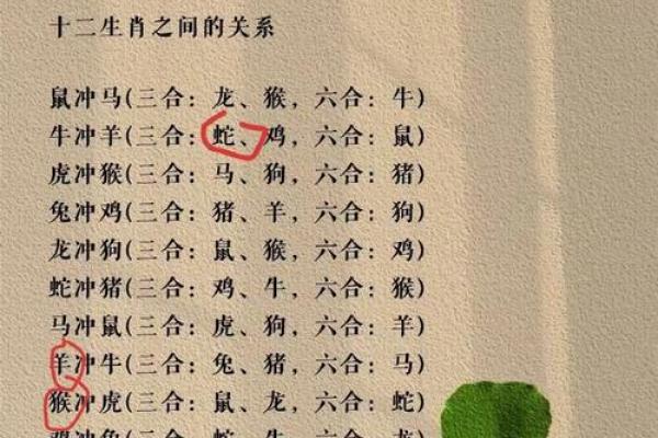 出生的生肖命运与个性分析