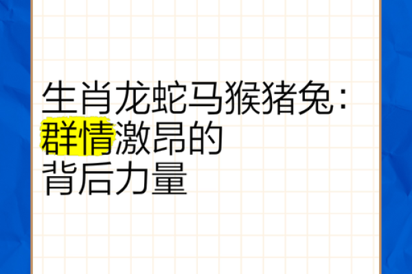 兔年与龙年性格碰撞 爱情与事业能否和谐 兔年与龙年性格碰撞 爱情与事业能否和谐