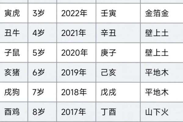 出生属什么命解析与运势揭秘