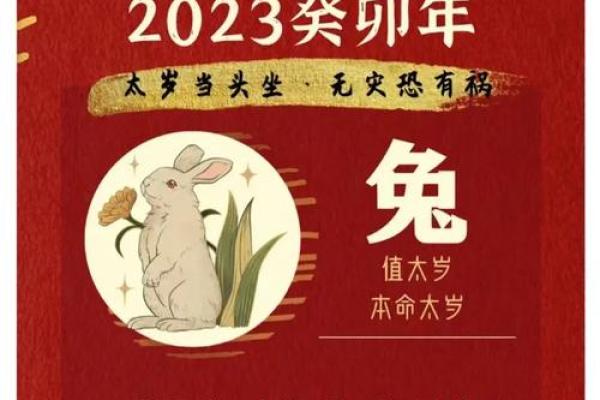 本命年羊女的情感问题如何理性解决