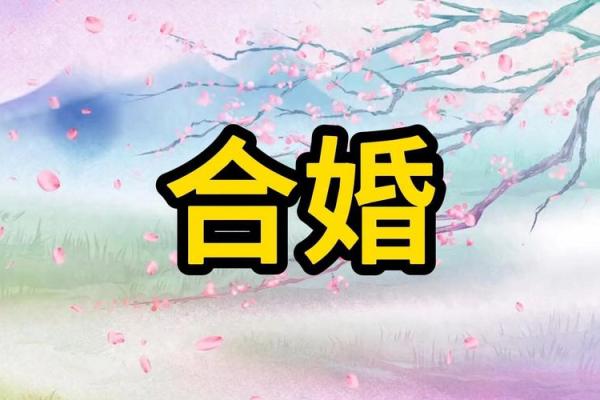 八字合婚揭秘：男女命理差异如何决定婚姻命运