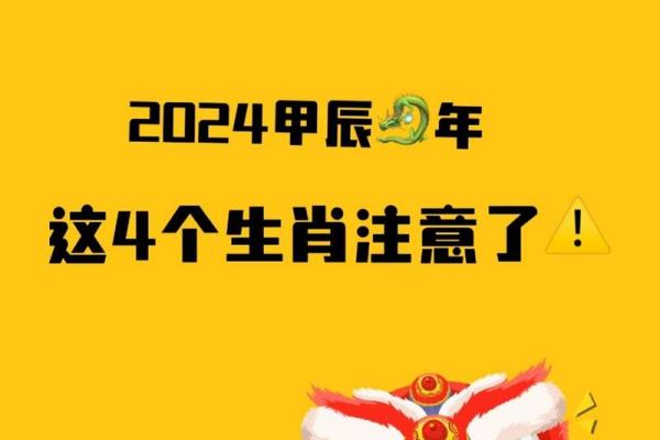 本命年龙女如何做好职场风险管理