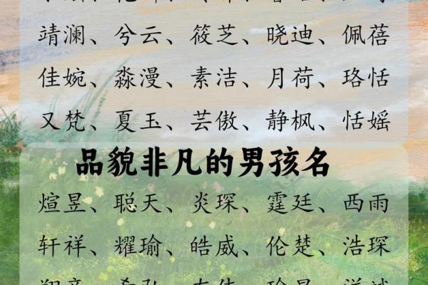 邹宝宝起名技巧:融合传统与现代的完美选择 邹宝宝起名技巧:融合传统与现代的完美选择