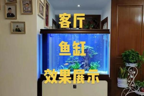 打造和谐家居环境 玉溪风水鱼缸公司推荐