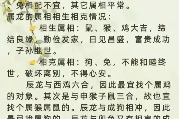 龙兔相配的五大缘分揭秘 龙兔相配的五大缘分揭秘