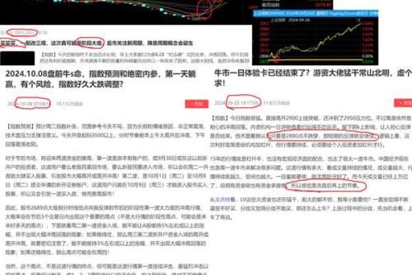 S命是什么含义及其背后的深层含义解析