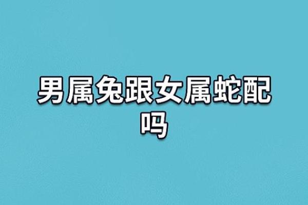 蛇女本命年如何避免不必要的风险