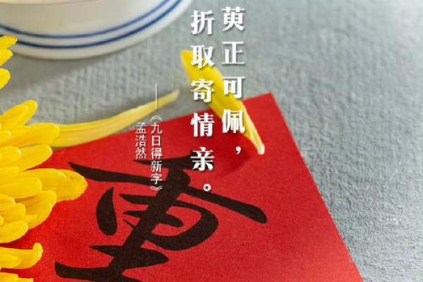 探秘农历九月的传统别名，背后有何深意？