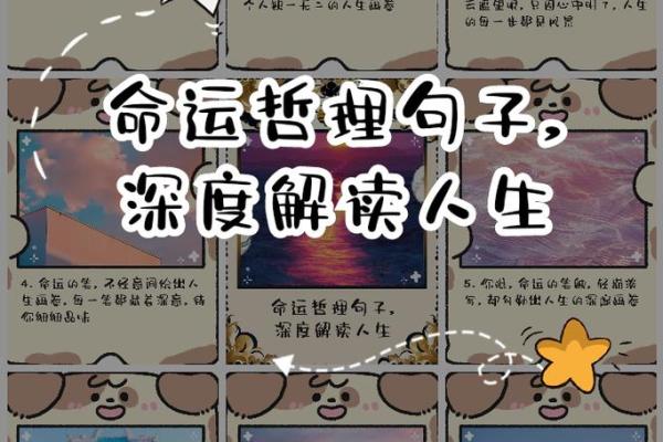 出生的命运特点与人生解析