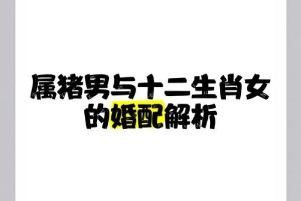男属猪女属虎婚配是否和谐解析 男属猪女属虎婚配是否和谐解析