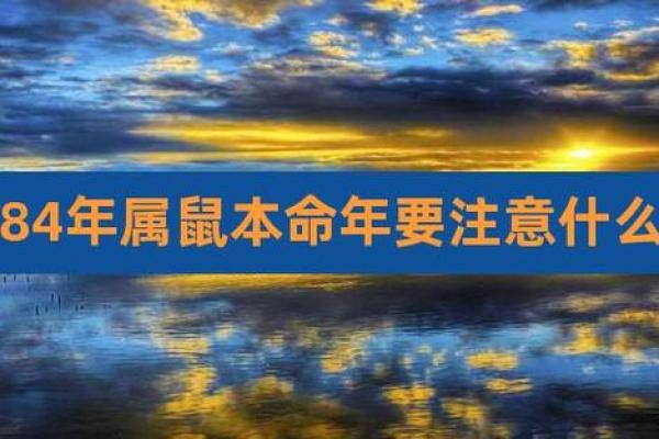 属鼠本命年如何保持内心平衡
