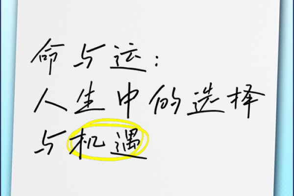 从命运到运势：如何理解人生中的运与命