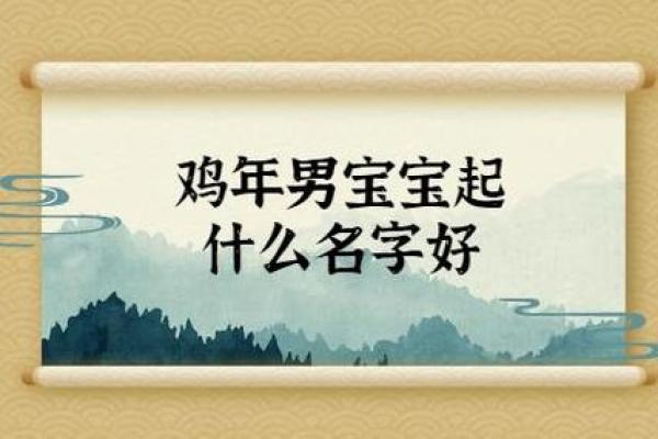 鸡宝宝最佳名字大全 有创意又有寓意