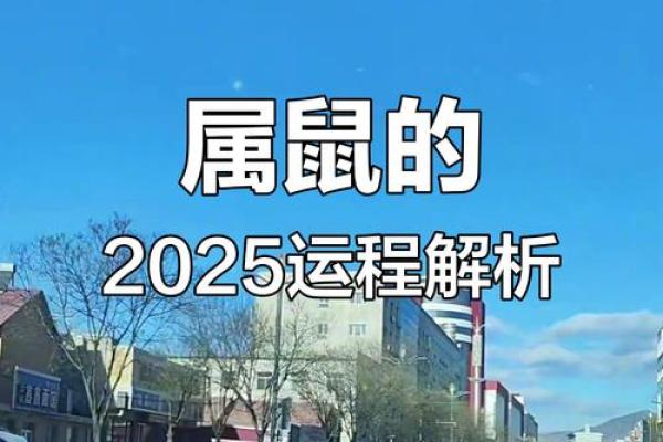 属鼠人运势详解：迎接挑战与机遇