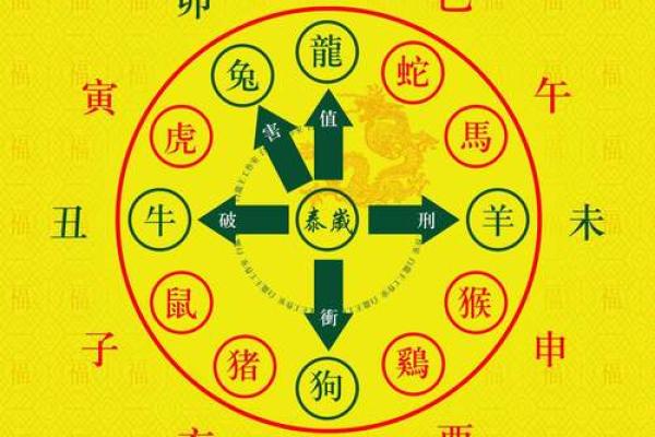 十二生肖整体运势预测