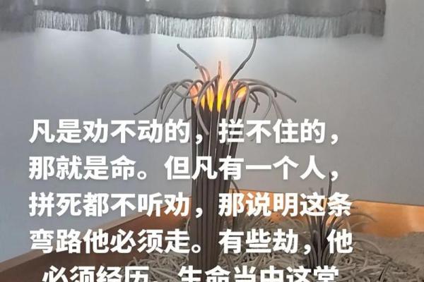 百命人是什么 解析这个神秘概念背后的深层含义