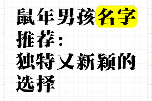 鼠年男孩起名指南：选个寓意吉祥的名字