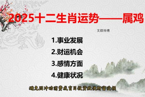 属鸡人每月运势解析：揭开未来一年的运程变化