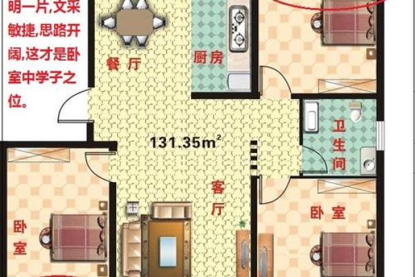 从苏民峰角度看家居风水布局，打造和谐居住环境