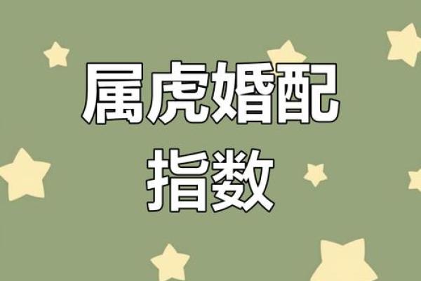 本命年属虎人的婚姻与感情运势
