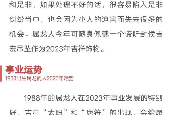 属龙运势分析：面对挑战如何提升个人运势