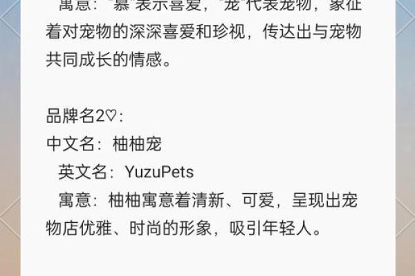 宠物取名技巧与创意灵感推荐