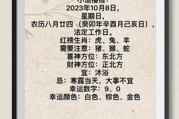 逐月运程解读：生肖运势起伏全解析