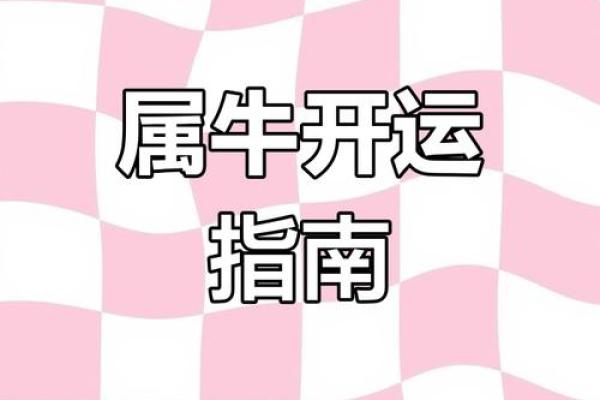属牛运势趋势：每月运程指引