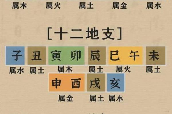 从生辰八字阴阳看人生运势，精准预测未来