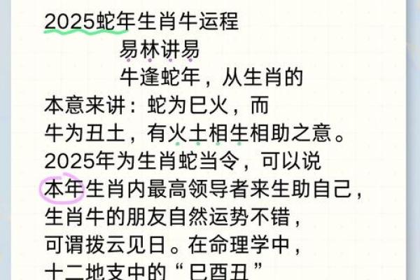 属牛人运势分析：机遇与挑战并存