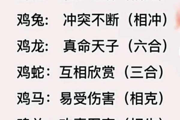 十二生肖运程解析：各属相的幸运与挑战