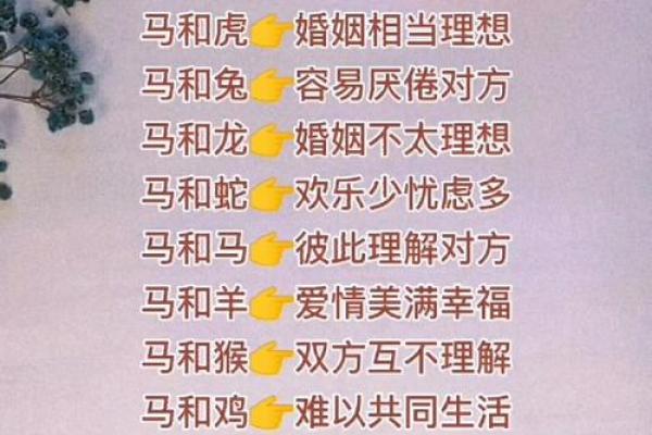 属马与属兔的缘分如何 适合做伴侣吗 属马与属兔的缘分如何 适合做伴侣吗