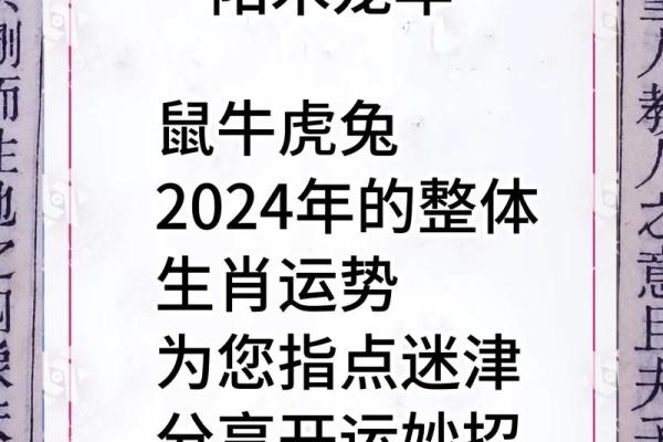 了解每日运程测试，看看你的生肖今天如何