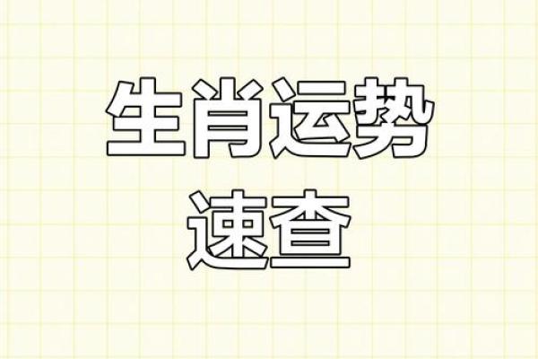 了解每日运程测试，看看你的生肖今天如何