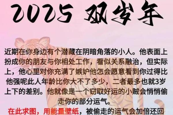 属虎的今天：如何应对职场与生活中的压力