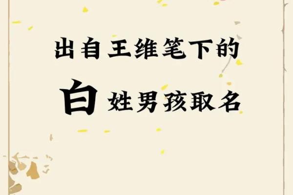 白姓女孩名字的独特魅力与文化内涵