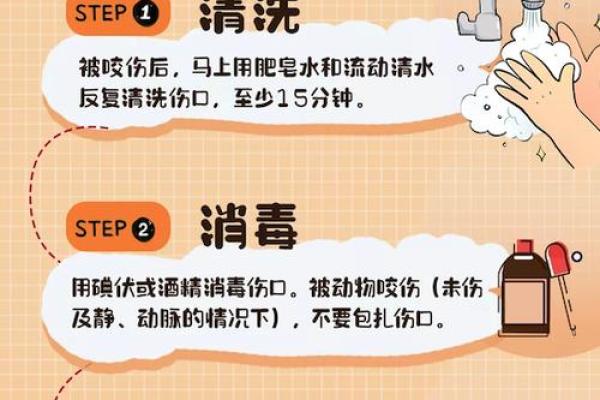 暴毙家居风水：如何避免家中隐藏的致命隐患