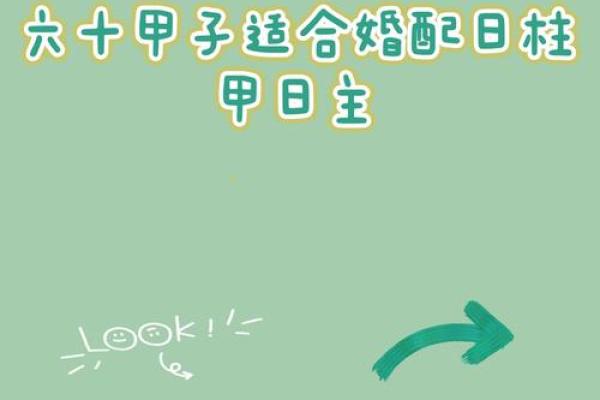 甲子日柱的人如何调和二婚中的冲突